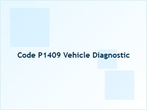 Code P1409 Vehicle Diagnostic Meaning