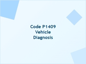 Code P1409 Vehicle Diagnosis Obd2 Trouble Code